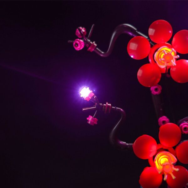 Lego Icons Plum Blossom 10369 için Aydınlatma Kiti