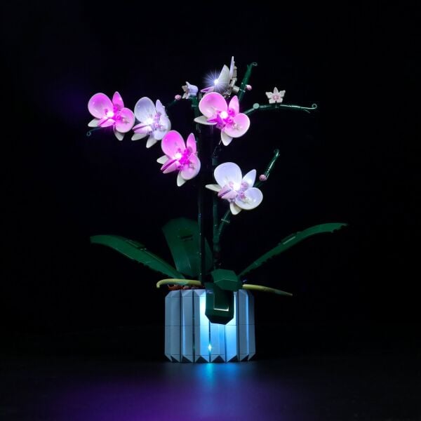 LEGO 10311 Orchid İçin Aydınlatma Kiti
