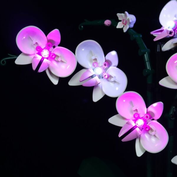 LEGO 10311 Orchid İçin Aydınlatma Kiti